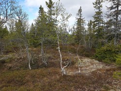 Øyvassberget Nordvest