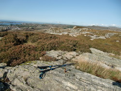 Rundehaugen