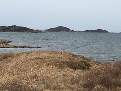 Ospholmen