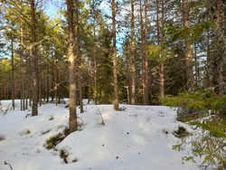 Jonsrudberget