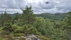 Sletteskarheia