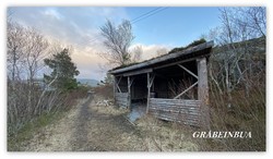 Gråbeinbua