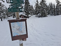 Ljørkoia