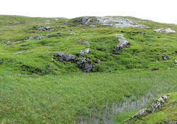 Nobbane