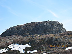 Snøankneppen