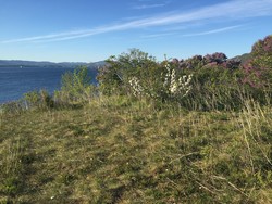 Storsteilene
