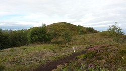 Grønhaugen