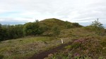 Grønhaugen