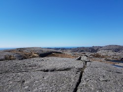 Malbergsheia