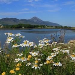 Croagh Patrick 