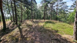 Teigenåsen