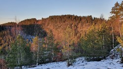 Jakobåsen
