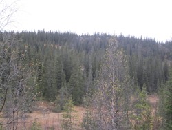 Jevnlisfjellet Sør