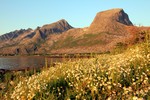 Breidtinden