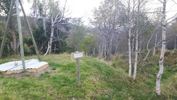 Sti Paradiskollen