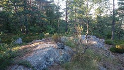 Lømslandsheia