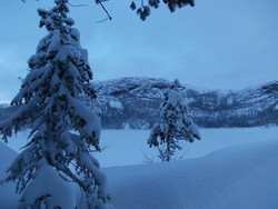 Barstadbøla
