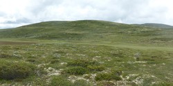 Vestre Snuen