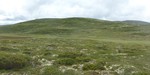 Vestre Snuen