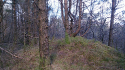Birkelandsfjellet