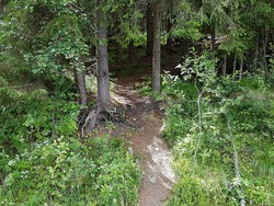 Bergastigen stistart nede