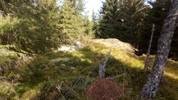 Ryenseterkollen