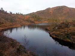 Kråkhornet
