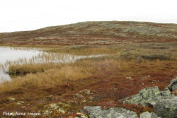 Suleberghøgda Sørøst