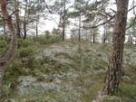 Storåsen i Fusa