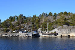 Tangane Gumøy