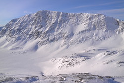 Søndre Falkfangarhøa