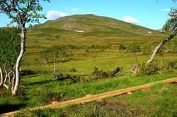 Lauvåstøten