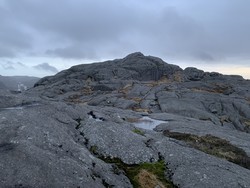 Øygjaheia
