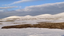 Dovre nasjonalpark