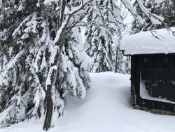 Rundtom