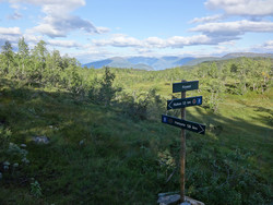 Tursti Nuken via Krysset
