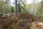 Midtåsen