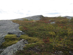 Jensokfjellet