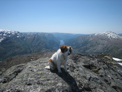 Joskarfjellet