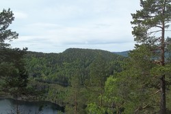 Presthøgås