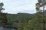 Presthøgås