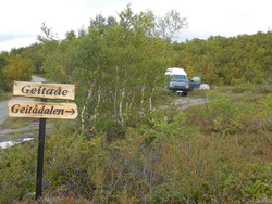 Geitådalen p-plomme