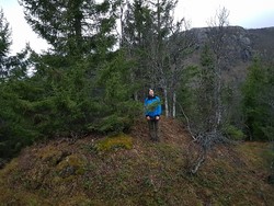 Hoanttasroggi