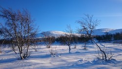 Härdalsstöten