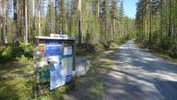 Kollsjøveien