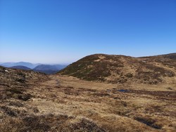 Dyrefjellet