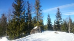 Molikåsen nord