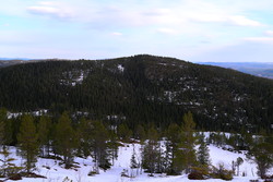 Grimåsen