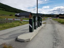 Fuglesætervegen