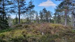 Setervannsåsen